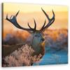 Canvas Print Deer Sunrise