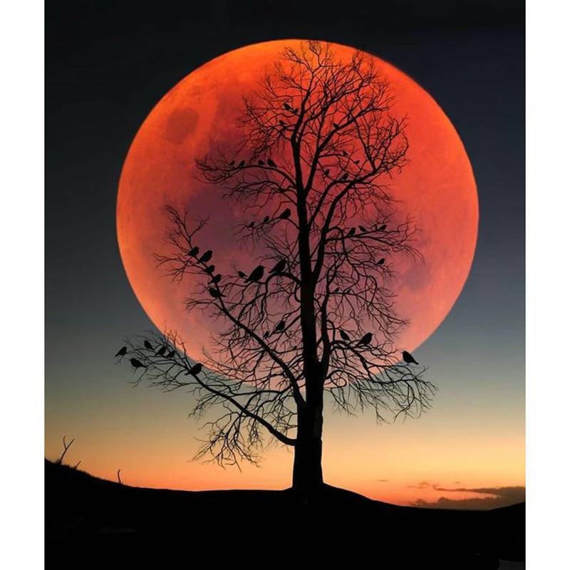 DIY Лунный пейзаж 5D алмазная живопись полный круглый дрель пейзаж Алмазная вышивка наборы крестиков мозаика настенное искусство домашний декор