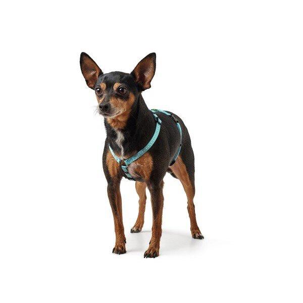 Hunter Dog Harness Tripoli Black XXS-XS