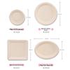 Yijie Biodegradable Square Fast Food Plate