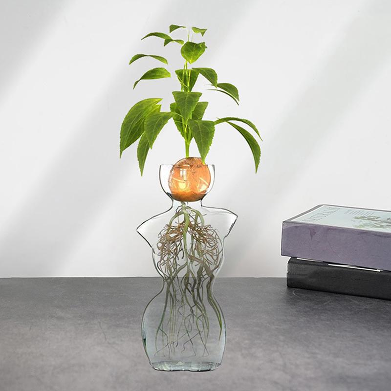 Прозрачная стеклянная ваза для семян авокадо, набор для выращивания семян, ваза для авокадо для любителей садоводства, домашний декор