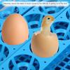 Farm Automatic 48 Eggs Digital Incubator Temperature Control Hatcher for ChickenUK Plug 220V