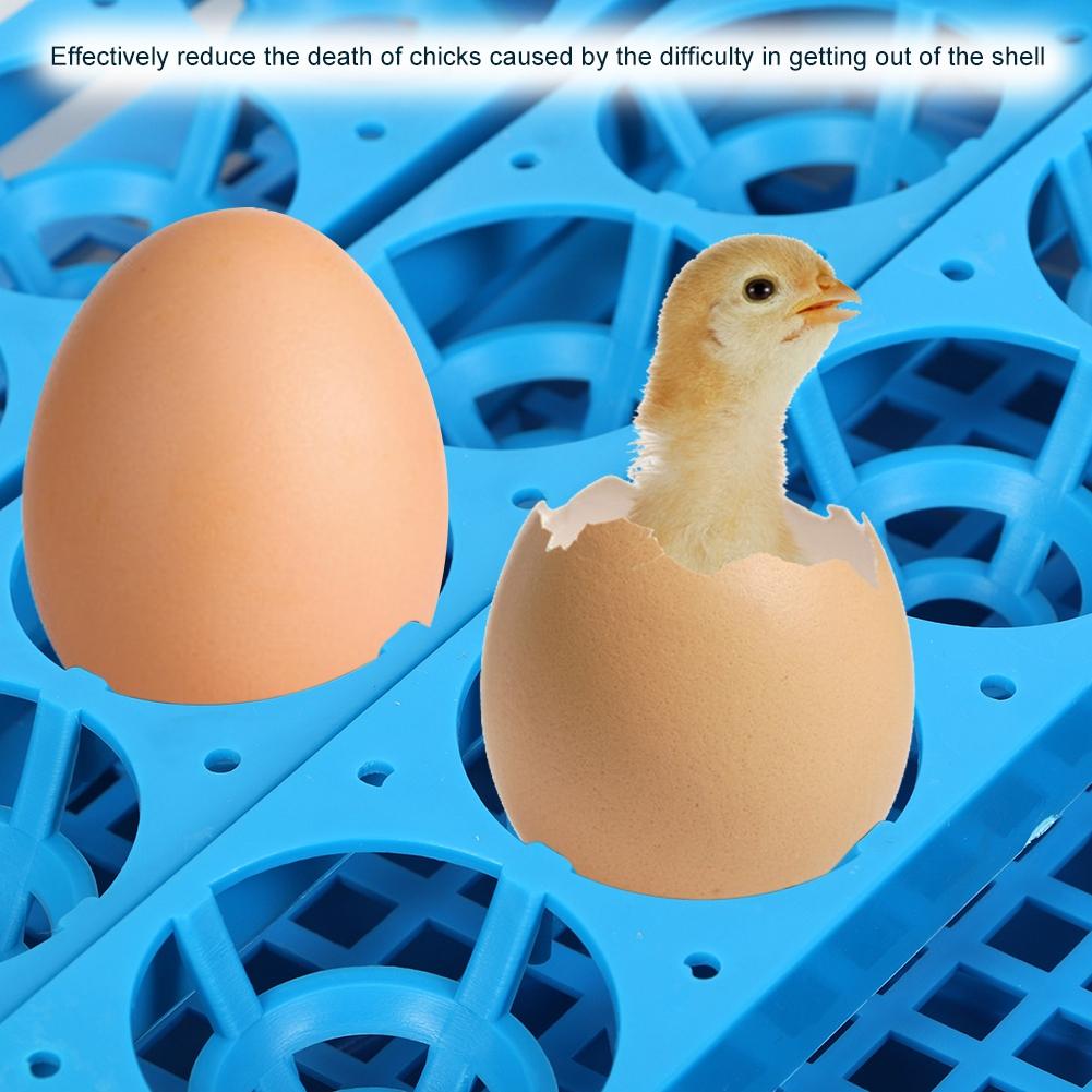 Farm Automatic 48 Eggs Digital Incubator Temperature Control Hatcher for ChickenUK Plug 220V