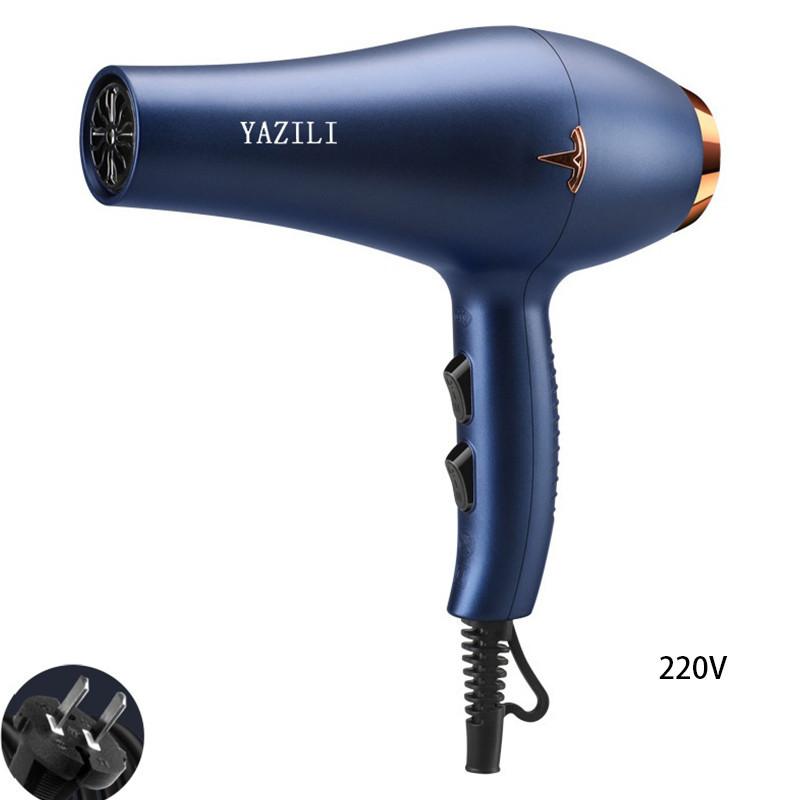 Professional Salon Hair Dryer With Powerful Brushless Motor Blue Light And Heat/cold Settings