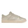 Dunk Low Premium Light Orewood Brown Men Sneakers Sequoia Guava-Ice DZ2538-100