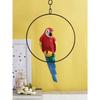 Handpainted and Handmade Decorative Hanging Parrot for Garden Decoration Figurine Showpiece Home Decor, Resin