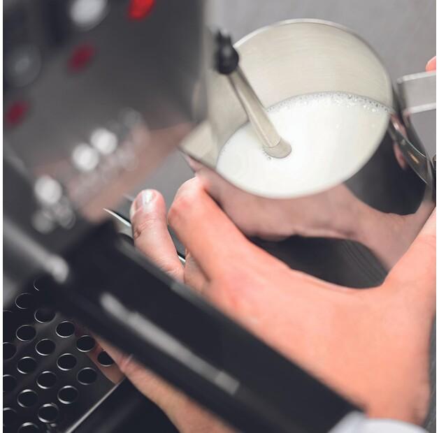 Coffee Machine Gaggia RI9481/11 New Classic Evo Stainless Steel