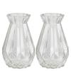 Набор из 2-х стеклянных ваз