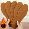 2 Pairs Winter Insoles Thick Fleece-Lined Warm Shoe Pads with Anti-Slip & Moisture-Wicking Comfortable Cushion for Boots Shoes