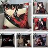Аниме A-Akame ga Kill Наволочка Короткий плюш Двусторонняя печать Квадратные наволочки для диванных подушек Декор дивана Домашняя подушка