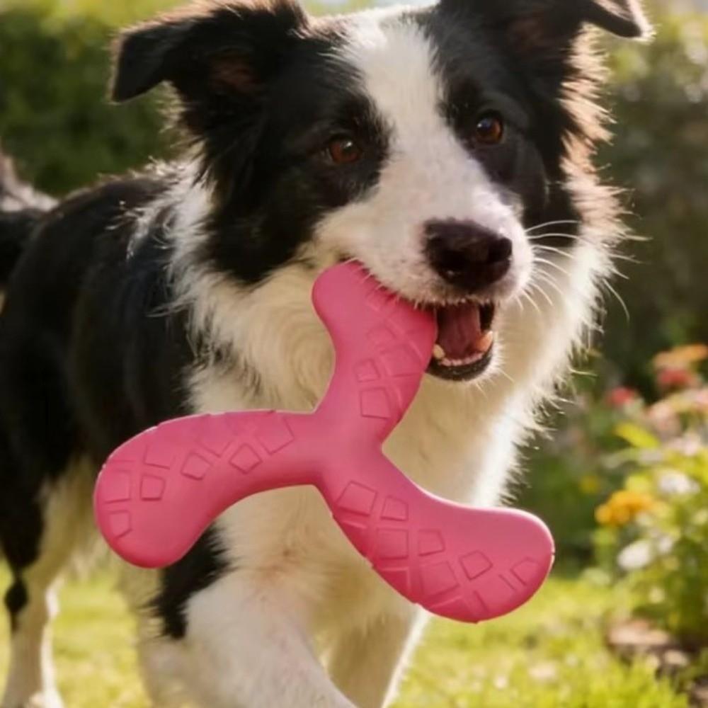 EVA Pet Interactive Flying Disc Wear-Resistant Dog Training Toy Creative Tooth Chew Toy  Backyard