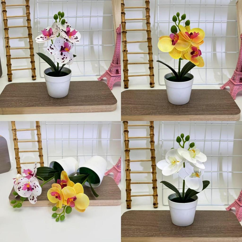 Butterfly Orchid Fake Flower Pot Plant For Event Decorations And Photography Sessions
