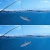 Bionic Fish Электрическая приманка Воблеры Автоматическая плавающая приманка Жесткая рыболовная приманка Крэнкбейт