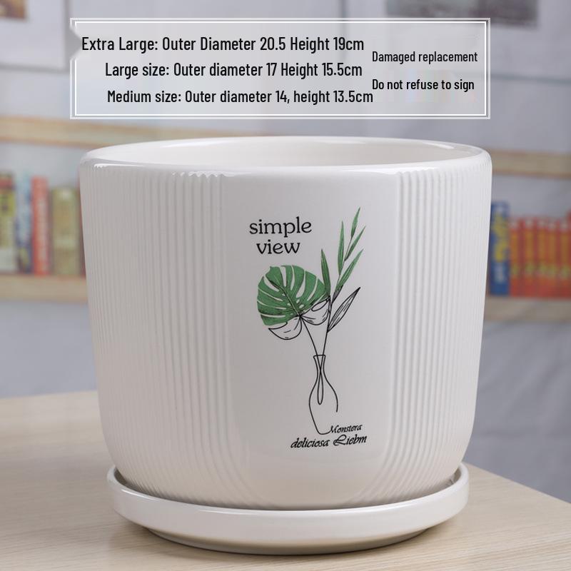 Simple White Ceramic Flower Pot with Base for Indoor Plants - Available in Large and Extra Large