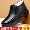 Cotton Shoes Men's Winter Warm Piled Thickened Leather Wool Cotton Shoes Men's Middle-aged and Elderly Father Father Shoes