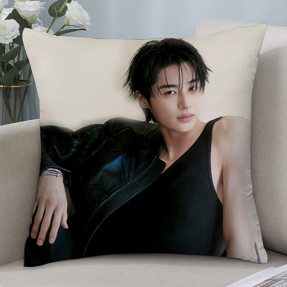 W-Woo Do H-Hwan Наволочка Короткий Плюш Чехлы для Подушек Декоративный Подарок для Дивана Домашний Двусторонний Печатный Чехол для Подушки