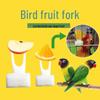 Plastic Bird Fruit Fork for Budgie Feeding - Peony Birdcage Toy & Accessory