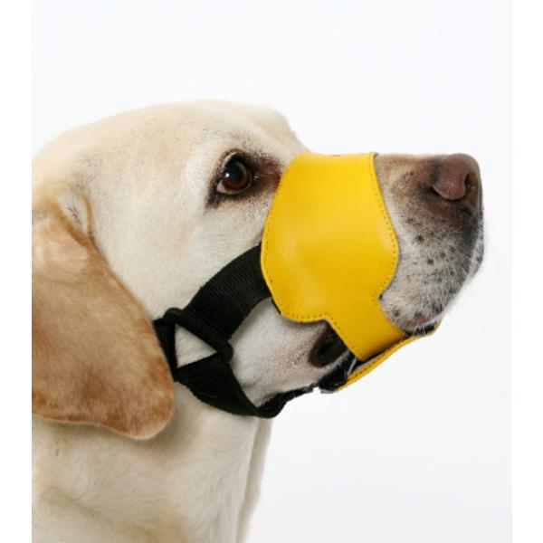 Намордник Free Dog Bang Bang, S, Желтый