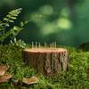 Медные гвозди для пня дерева 20 шт. 30 шт. 40 шт. 50 шт. для эффективного удаления корней. Доступны размеры 65 мм и 75 мм.