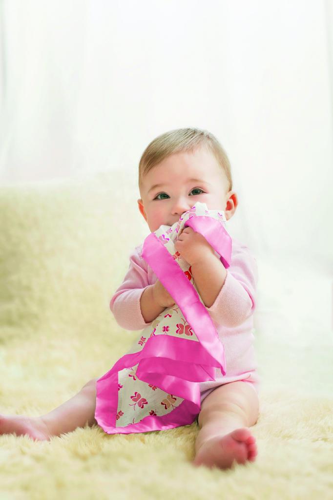 Aden Anais Japanese Muslin Cotton Set Princess Posie Butterflies + (Authentic Product) (gauze Handkerchief/satin Edging) 2-piece - Issie-7500