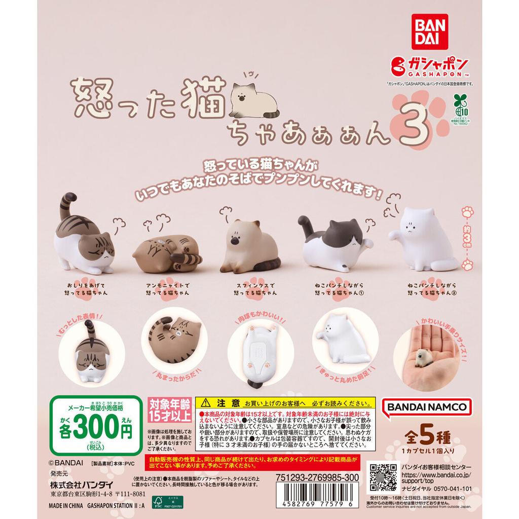 Japanese Genuine Gacha Scale Model The Angry Cat Series of Cute Figurines Tabby Siamese Cat Action Figure Toys