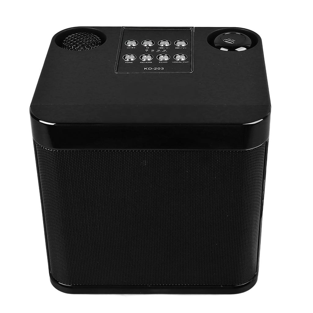 Беспроводные караоке-колонки Портативная мини-караоке-машина Bluetooth-колонка с 2 беспроводными микрофонами для домашней вечеринки