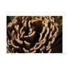 Canisse - NATURE - Bambou fendu - 3 x 1 m