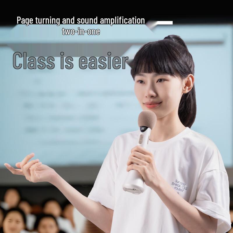 Deli LT200 12W Wireless Bluetooth Handheld Amplifier CN plug (adapter included) (CN version)