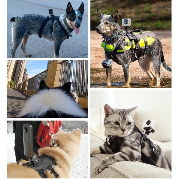 Крепление-шлейка для собаки на Gopro, Мягкая и регулируемая жилетка-шлейка для собаки с 2 монтажными базами, Фиксация на груди и спине питомца для Gopro Hero Все модели, Подходит