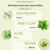 Seeyoung Soapnut Oil Control Shampoo