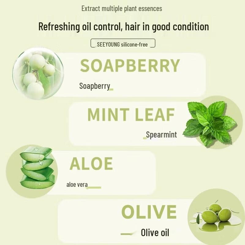 Seeyoung Soapnut Oil Control Shampoo