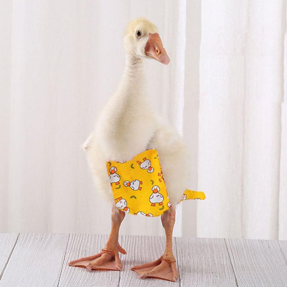 Washable Duck Diapers Adjustable Reduce Odor Generation Farm Pet Product Cloth Diapers Chicken