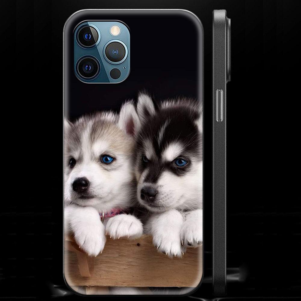 Роскошный чехол для телефона с милым щенком Аляскинского хаски для iPhone 13 15 14 12 11 Pro MAX XR X SE XS 7 8 Plus, черный матовый силиконовый чехол