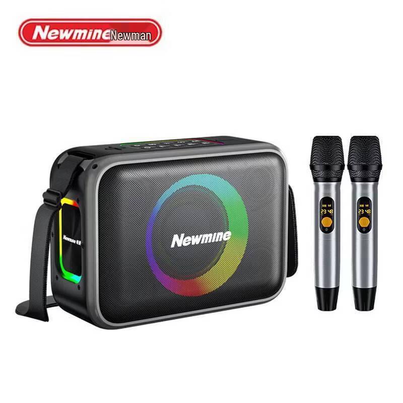 Портативная Bluetooth-колонка для караоке Newmine MC98, штепсель CN (адаптер в комплекте)