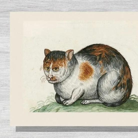 Уродливые коты на картинах эпохи Возрождения Календарь 2026 Смешные средневековые коты Настенный календарь Винтажный 12-месячный планировщик Странное настенное искусство с котами эпохи Возрождения для кота