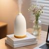 New Model Humidifier with Ultrasonic Humidifier with LED Quiet Hypochlorous Acid Water Suitable for Living and Relieves Dryness and Hay Fever [2025