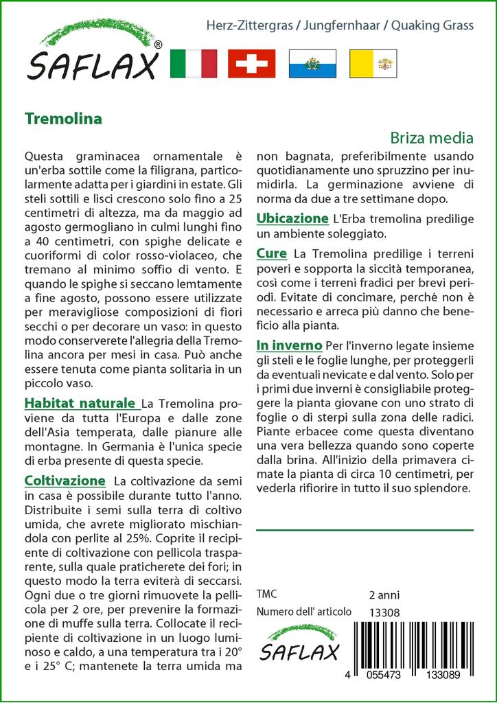 SAFLAX Трава трясущаяся - 75 семян - Бриза медиа