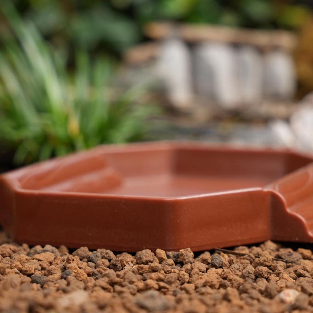 Водопойная миска для черепах, нескользящая миска-бассейн для рептилий, 2-в-1, устойчивая к пятнам, ванночка для купания и кормления черепах, для змей, гекконов, черепах