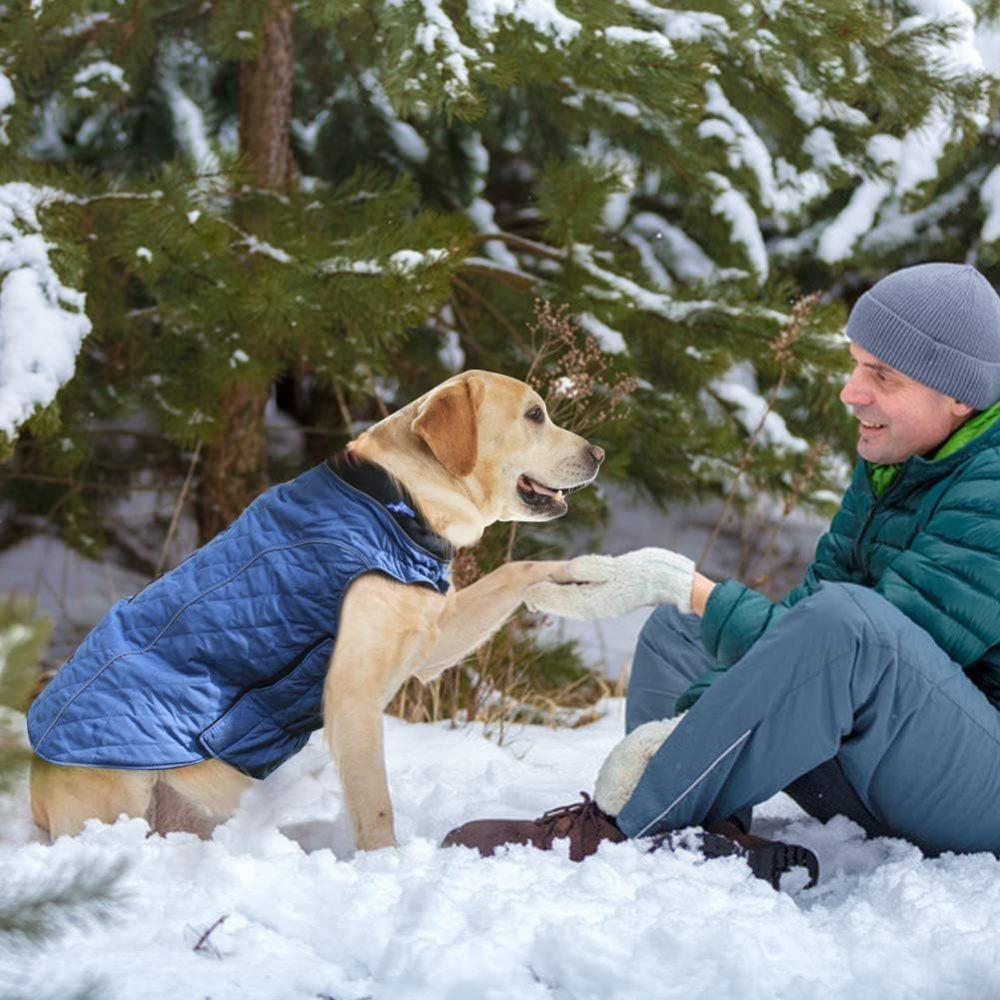 Зимние пальто для собак, одежда для собак для холодной погоды, ветрозащитная теплая куртка для собак в британском стиле для зимних пальто для собак,