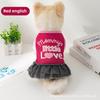 Autumn and Winter Dog Clothes Princess Xiaoxiangfeng Teddy Pet Skirt Autumn and Winter Dog Clothes Clothing