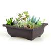 1Pc Plastic Flower Pot Balcony Square Flower Pot Flower Bonsai Bowl Nursery Pot Flower Pot Imitation Rectangle Nursery Basin