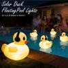 Floating Pool Lights Solar Powered Solar Inflatable Automatic Party Decoration Outdoor Decoration Float Pool Lights For Wedding