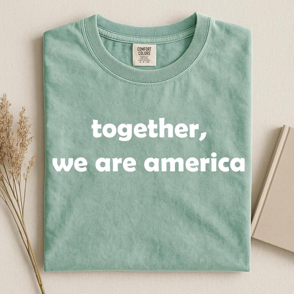 Comfort Colors Together We Are America Shirt, Immigrant Tshirt, Kind Human Rights Tee, Unity Message Graphic Top, One Nation Together Outfit