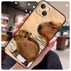 Animal Funny Capybara Case For iPhone 16 Pro Max 14 13 12 11 15 17 Pro Max mini 15 16 Plus 16e 17 Air Phone Cover