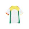 Nike Мужская футбольная майка Dri Fit IB4219-100