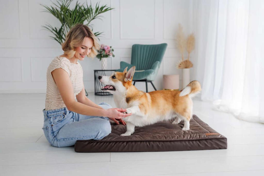 Dog bed, dog cushion, Welsti gray fur 70x50