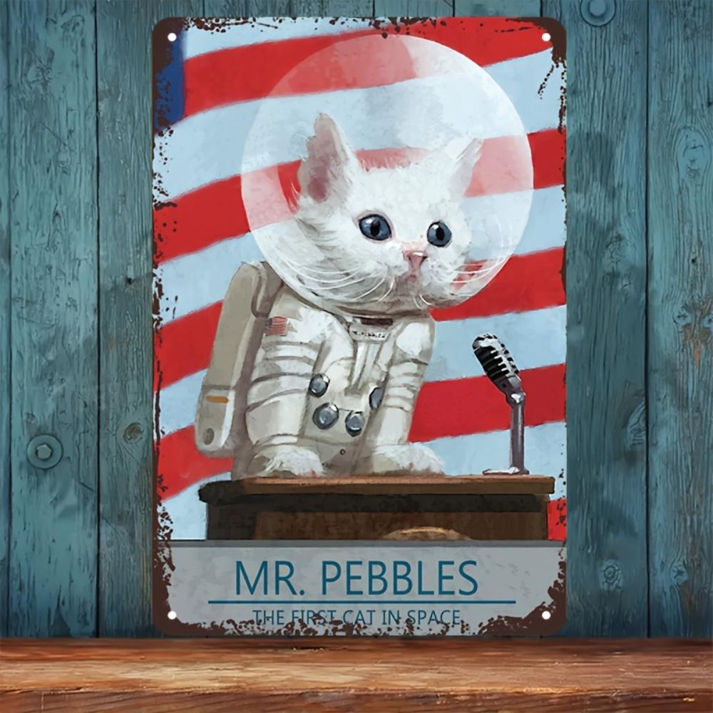 Декор комнаты F-Fallout Mr. Винтажная металлическая жестяная вывеска "Галька", Алюминиевое настенное искусство, Ретро декор для дома, спальни, гаража, мужской комнаты, бара