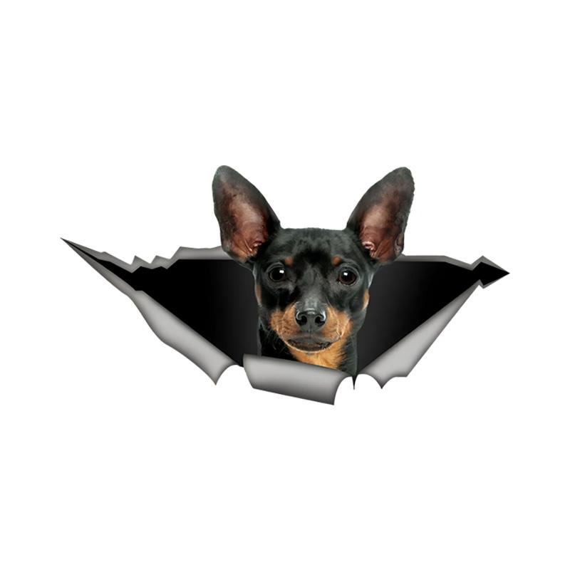 Cute Pinscher 3D Break the Wall Car Sticker, Waterproof Vinyl Material Accessories, Interesting Creativity For Cars, Trucks, Motorcycles, Walls