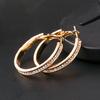 1 Pair Hoop Earrings Sparkling Rhinestone Geometric Round Color Elegant Nonallergic