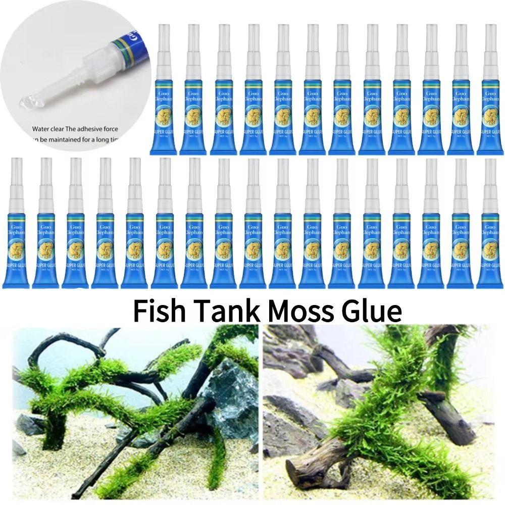 5Pcs Driftwood Fish Tank Landscaping Moss Glue Instant Water Grass Stick Fixing Glue  Aquarium